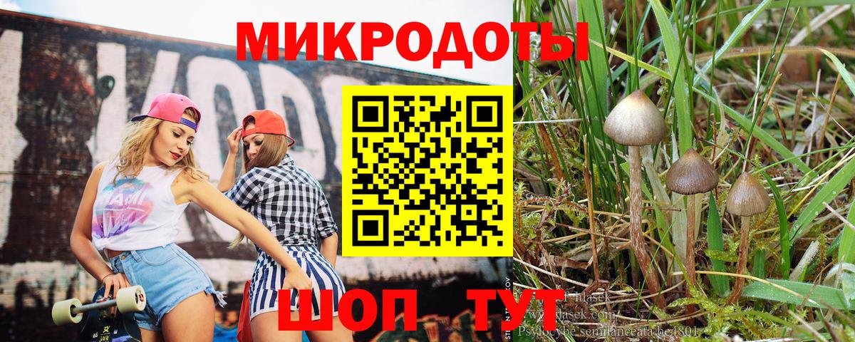 Киселёвск  Псилоцибиновые грибы Magic Shrooms  Вход с VPN 