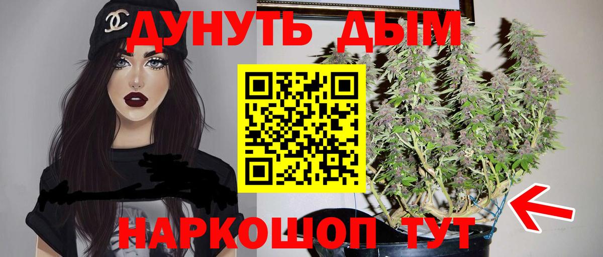 Киселёвск  Шишки марихуана VHQ  Конопля план  Бошки Шишки гибрид  Вход с VPN 